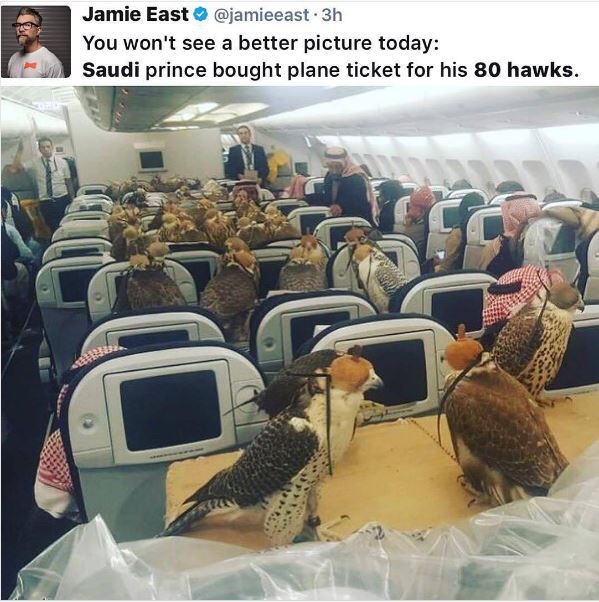 Saudi Prince Shocks Passengers As He Buys Plane Tickets For His 80 Hawks (Photos)